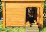 Dog House